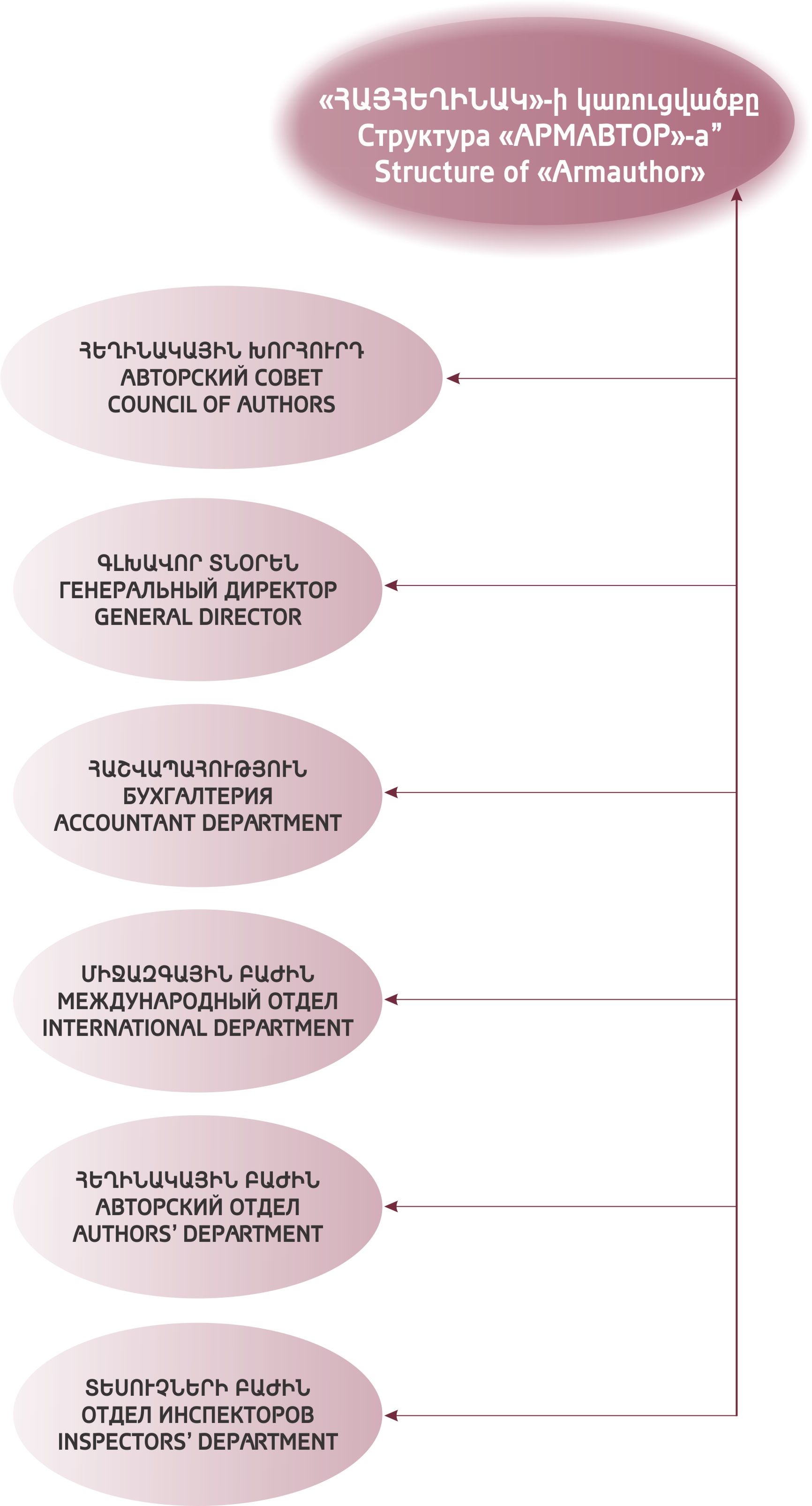 Կառուցվածք